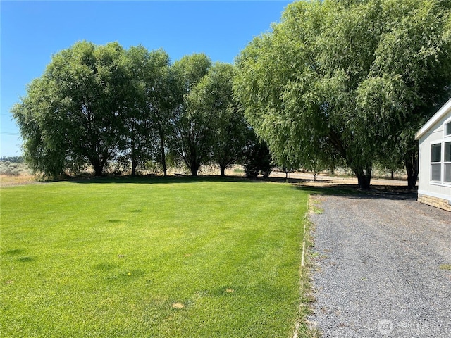 4820 NE 7.5 Rd, Moses Lake, WA 98837 - view of green lawn