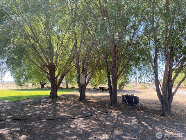 4820 NE 7.5 Rd, Moses Lake, WA 98837 - view of yard