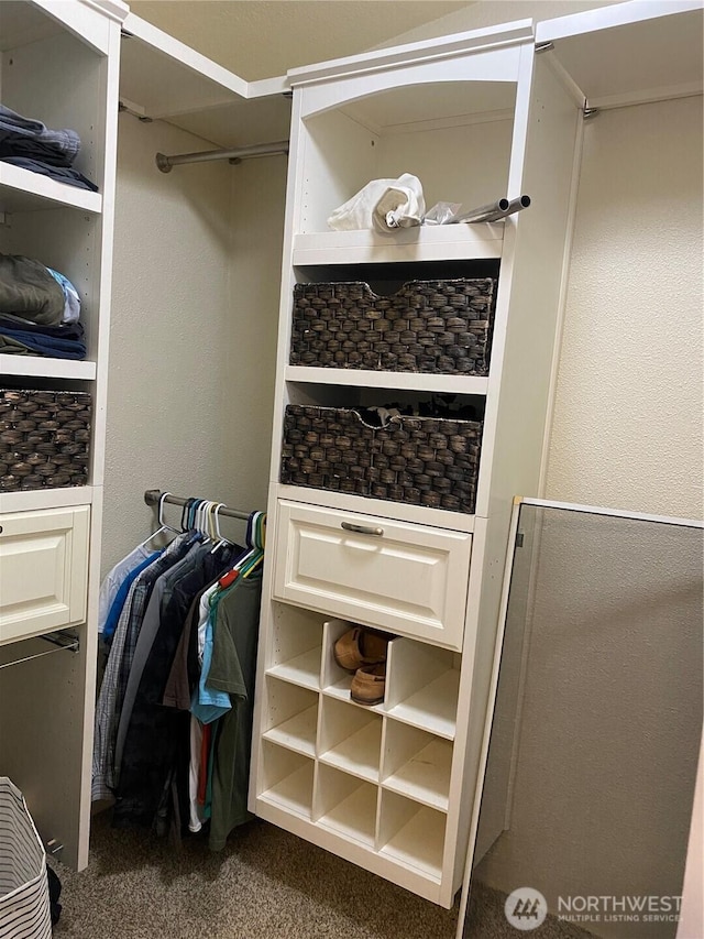 4820 NE 7.5 Rd, Moses Lake, WA 98837 - spacious closet with carpet flooring