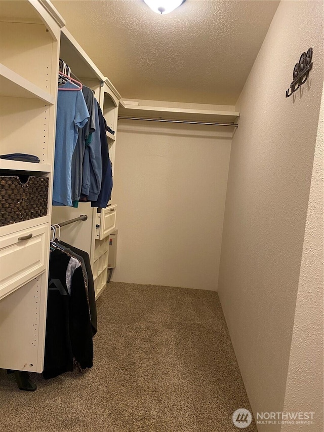 4820 NE 7.5 Rd, Moses Lake, WA 98837 - spacious closet featuring carpet floors and cooling unit