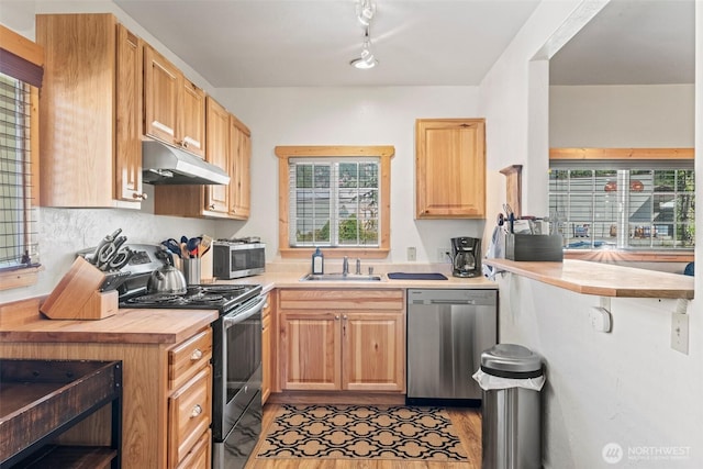 1313 Front St, Leavenworth, WA 98826 - kitchen featuring stainless steel appliances, under cabinet range hood, healthy amount of natural light, and light wood-style floors