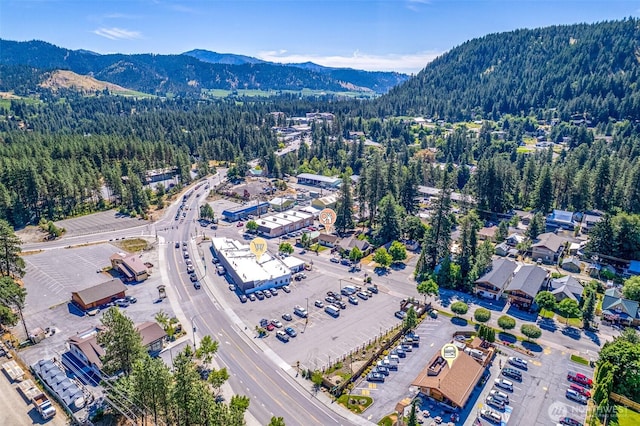 1313 Front St, Leavenworth, WA 98826 - view of property location featuring a mountain backdrop and a heavily wooded area