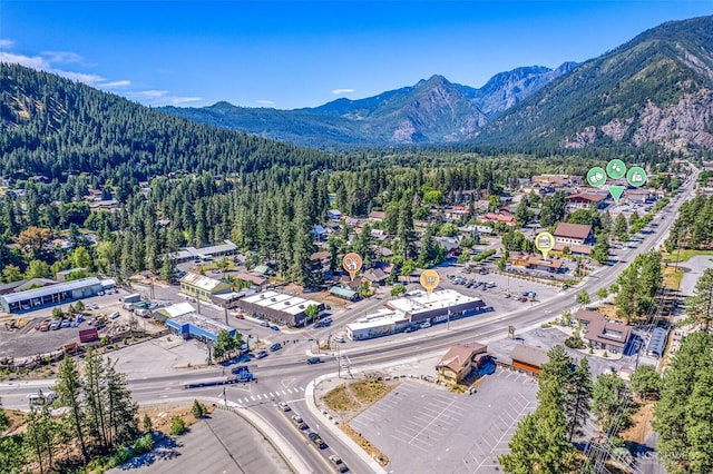 1313 Front St, Leavenworth, WA 98826 - bird's eye view of a mountain backdrop