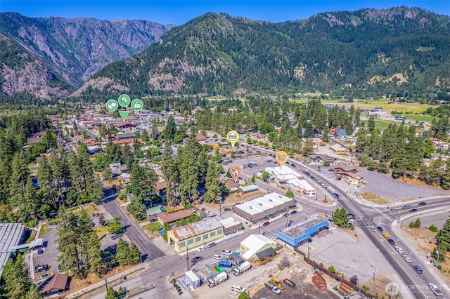 1313 Front St, Leavenworth, WA 98826 - view of property location with mountains