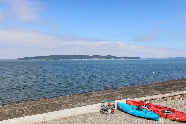 1287 Gerdes Rd, Camano Island, WA 98282 - photo 36