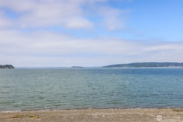 1287 Gerdes Rd, Camano Island, WA 98282 - photo 39