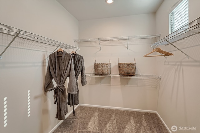 14036 198th St E, Graham, WA 98338 - photo 22