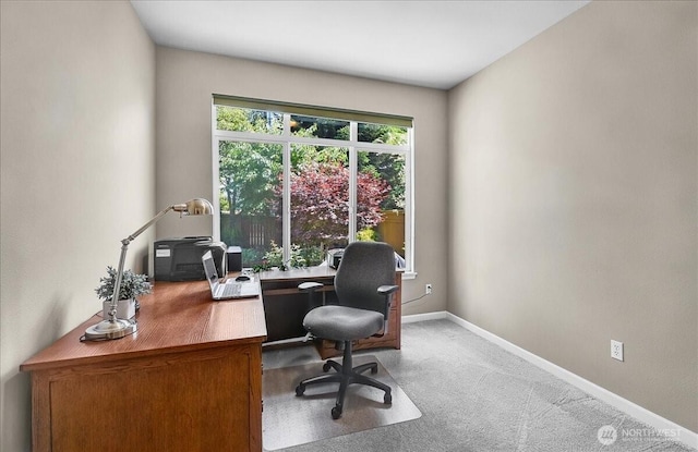 25004 163rd Pl SE, Covington, WA 98042 - office space with carpet flooring and baseboards