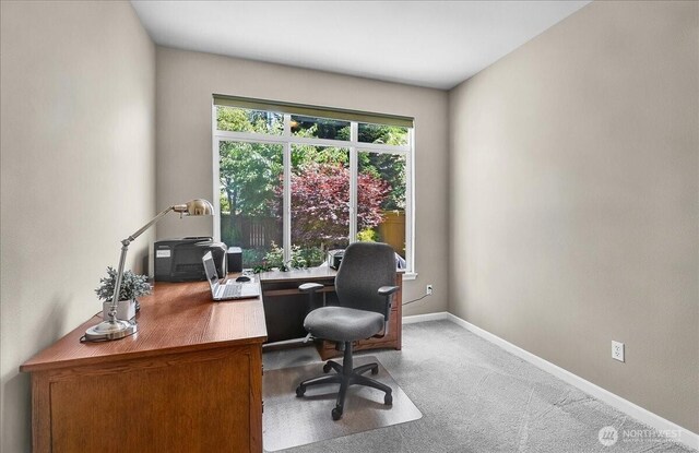 25004 163rd Pl SE, Covington, WA 98042 - photo 12