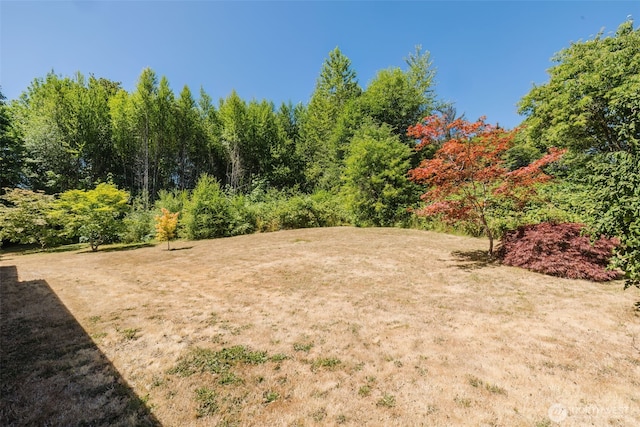 1783 W Shelton Matlock Rd, Shelton, WA 98584 - photo 39