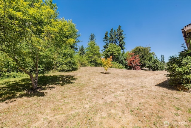 1783 W Shelton Matlock Rd, Shelton, WA 98584 - photo 37