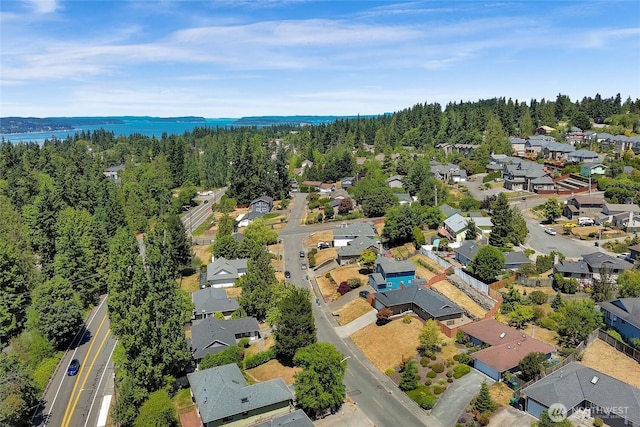 8851 48th Pl W, Mukilteo, WA 98275 - aerial view of residential area with a forest