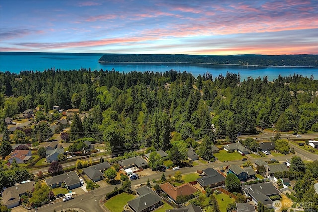 8851 48th Pl W, Mukilteo, WA 98275 - view of property location with a large body of water and a heavily wooded area