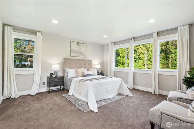 22627 Echo Lake Rd, Snohomish, WA 98296 - photo 11