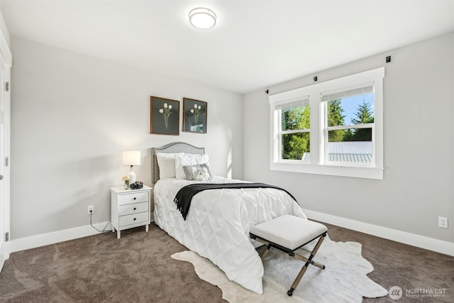 22627 Echo Lake Rd, Snohomish, WA 98296 - photo 17
