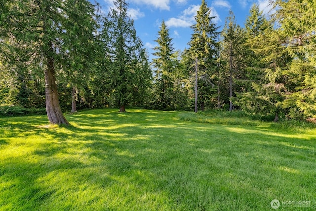 22627 Echo Lake Rd, Snohomish, WA 98296 - photo 35