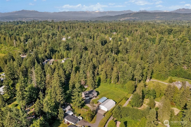 22627 Echo Lake Rd, Snohomish, WA 98296 - photo 40
