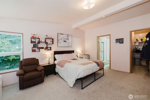 2072 Hastings Ln SE, Port Orchard, WA 98367 - bedroom with light carpet, a spacious closet, and a closet