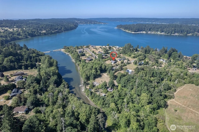 23405 80th Ave SW, Vashon, WA 98070 - photo 30
