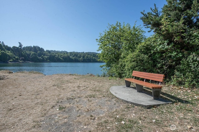 23405 80th Ave SW, Vashon, WA 98070 - photo 33