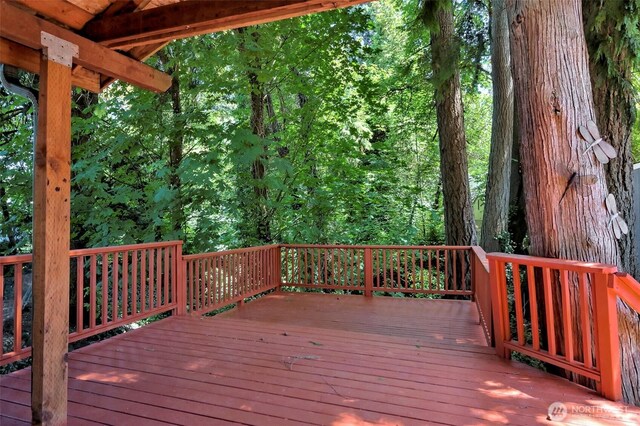 928 Olympic Ave, Shelton, WA 98584 - photo 25