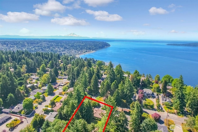 2404 SW 170th St, Burien, WA 98166 - aerial view of residential area with a nearby body of water and property parcel outlined