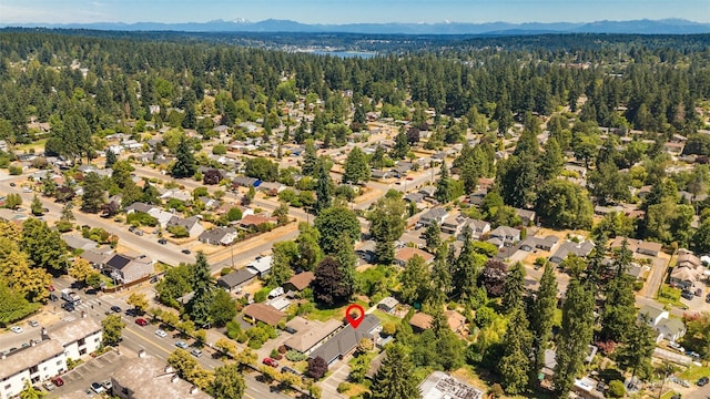 13316 15th Ave NE, Seattle, WA 98125 - photo 28
