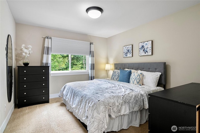 8019 149th Pl SE, Newcastle, WA 98059 - bedroom featuring carpet floors