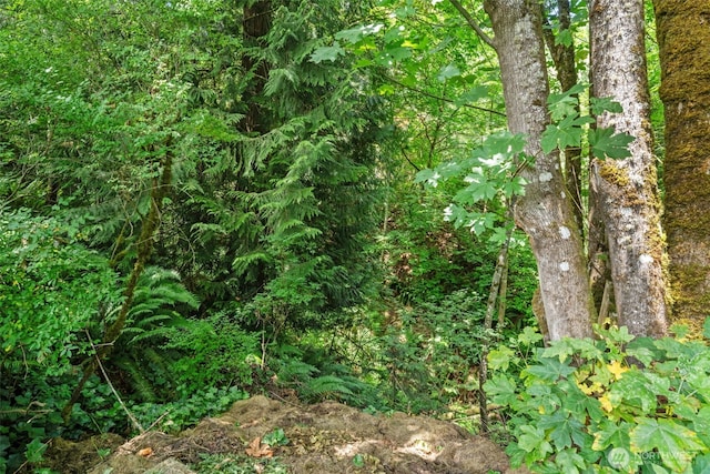 16714 Broadway Ave, Snohomish, WA 98296 - view of nature