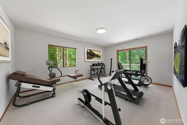 16714 Broadway Ave, Snohomish, WA 98296 - exercise room featuring baseboards and carpet floors