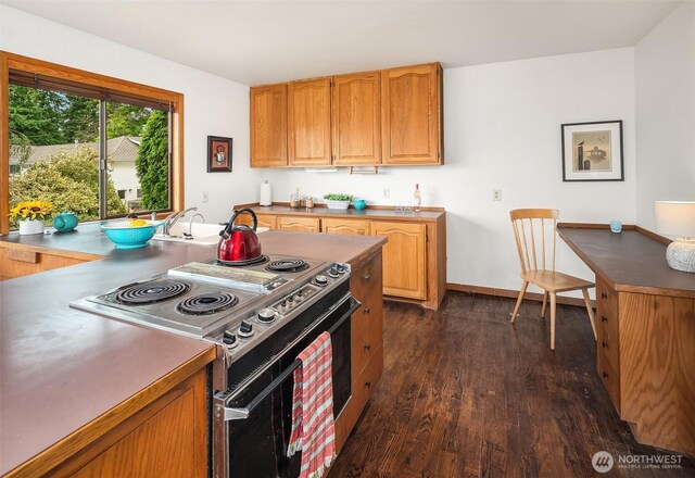 10634 SW Cowan Rd, Vashon, WA 98070 - kitchen featuring stainless steel electric stove and dark wood-style flooring