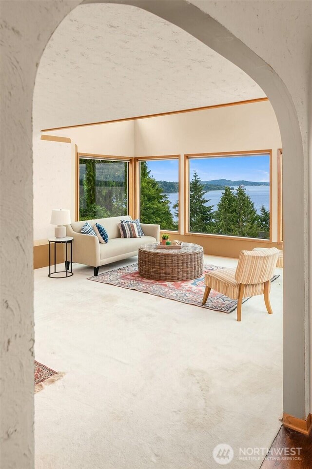 10634 SW Cowan Rd, Vashon, WA 98070 - carpeted living area featuring arched walkways