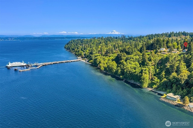 10634 SW Cowan Rd, Vashon, WA 98070 - aerial view of a nearby body of water