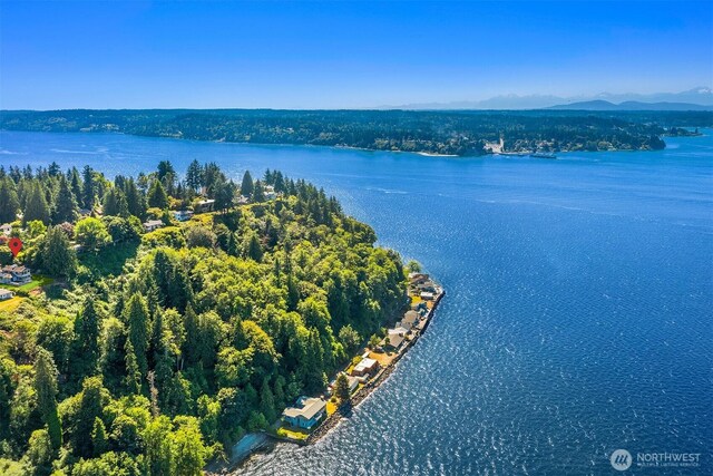 10634 SW Cowan Rd, Vashon, WA 98070 - bird's eye view of a water and mountain view