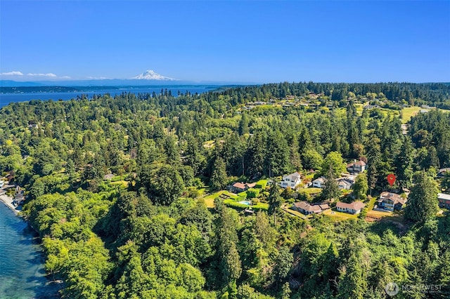 10634 SW Cowan Rd, Vashon, WA 98070 - aerial view of property's location featuring a forest and a large body of water