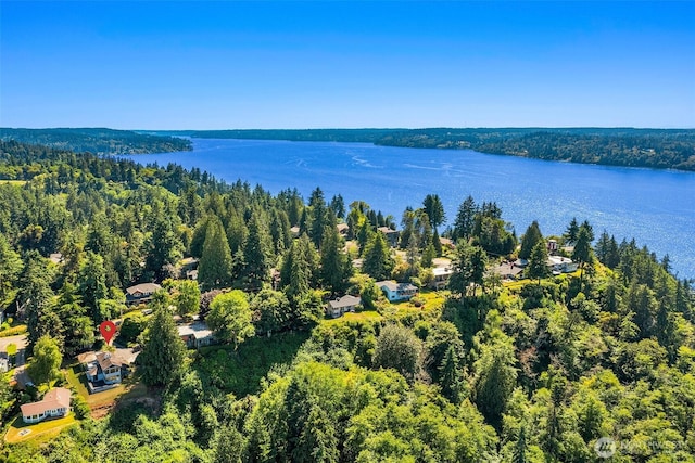 10634 SW Cowan Rd, Vashon, WA 98070 - aerial view of a large body of water