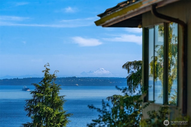 10634 SW Cowan Rd, Vashon, WA 98070 - water view