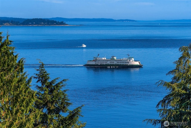 10634 SW Cowan Rd, Vashon, WA 98070 - water view