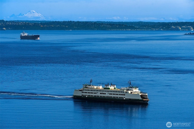 10634 SW Cowan Rd, Vashon, WA 98070 - water view