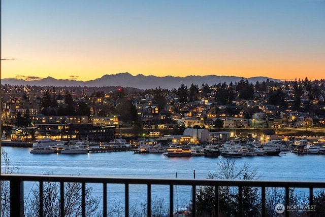 2921 Franklin Ave E Unit B, Seattle, WA 98102 - water view with mountains