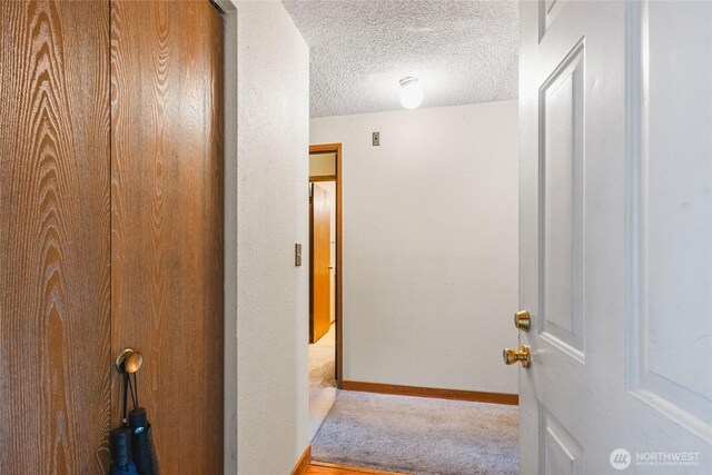 7310 N Skyview Ln Unit J-301, Tacoma, WA 98406 - corridor featuring carpet flooring and a textured ceiling