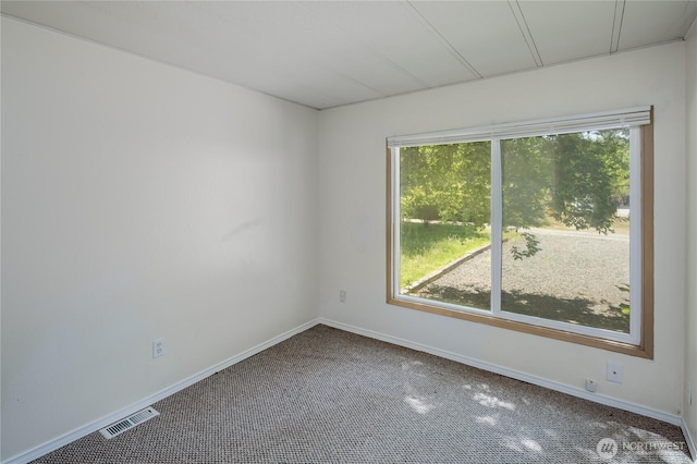 9921 169th NE, Arlington, WA 98223 - photo 10