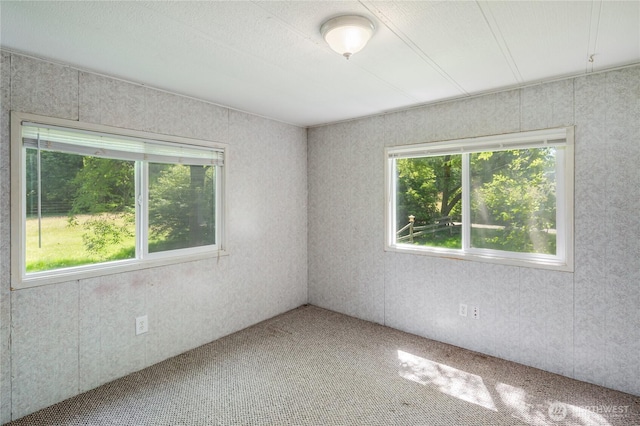 9921 169th NE, Arlington, WA 98223 - photo 11