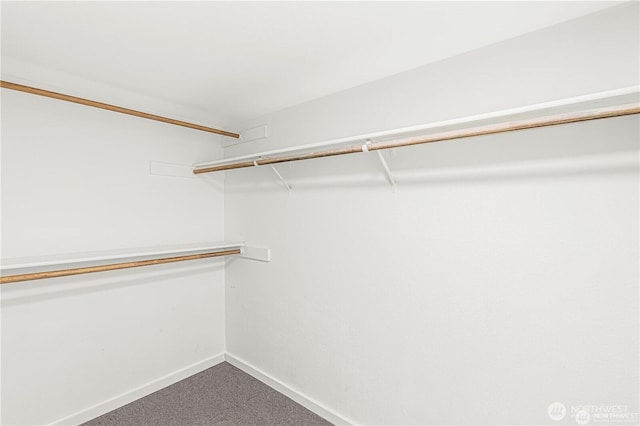 500 W Roy St Unit 102, Seattle, WA 98119 - spacious closet featuring carpet floors