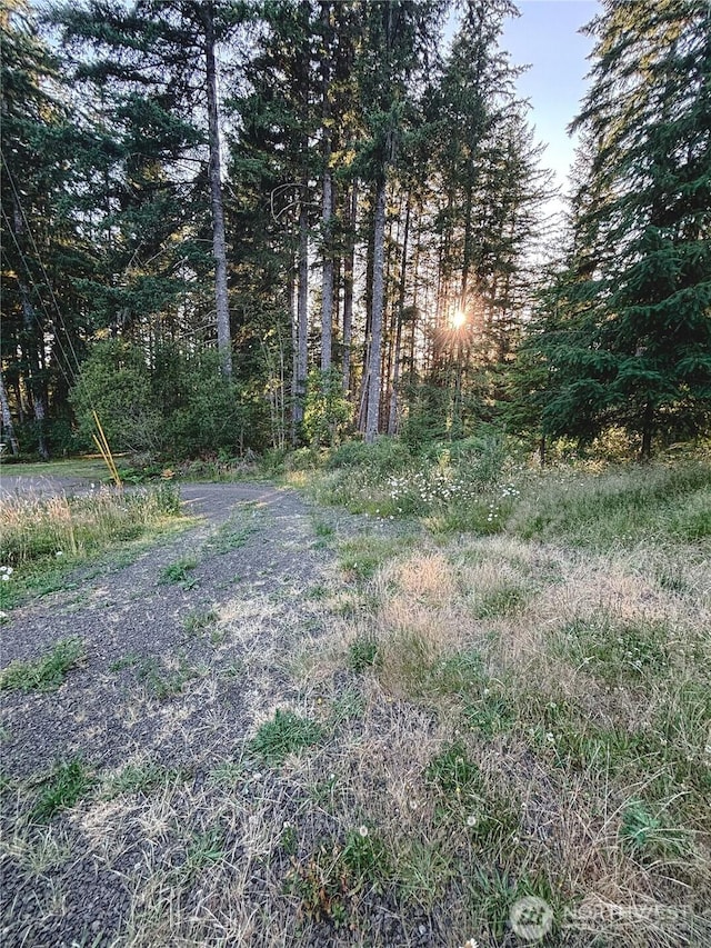 8389 SW Harmon St, Port Orchard, WA 98367 - view of yard