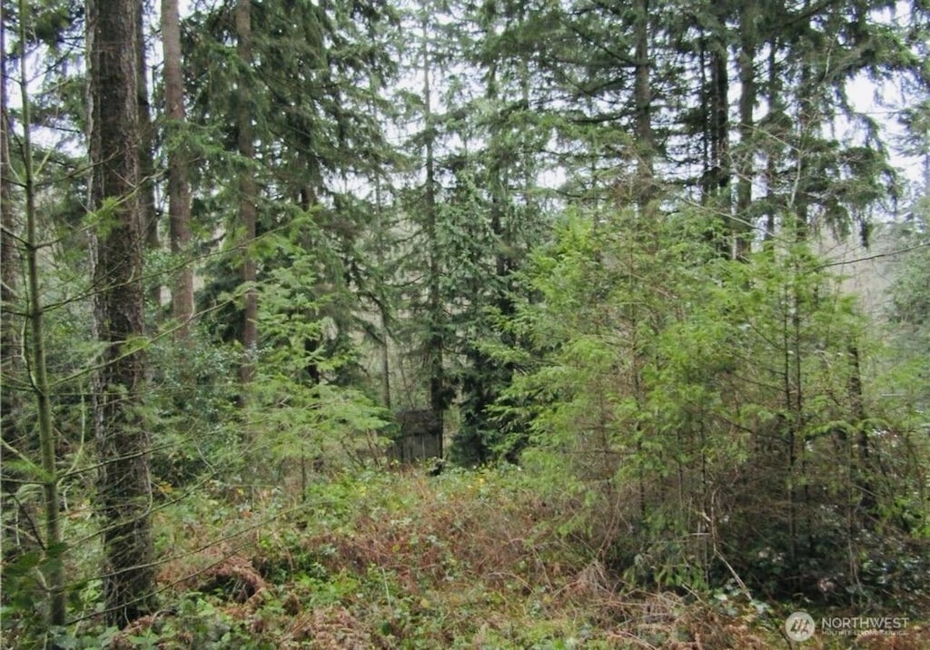 4606 W Tapps, Lake Tapps, WA 98391