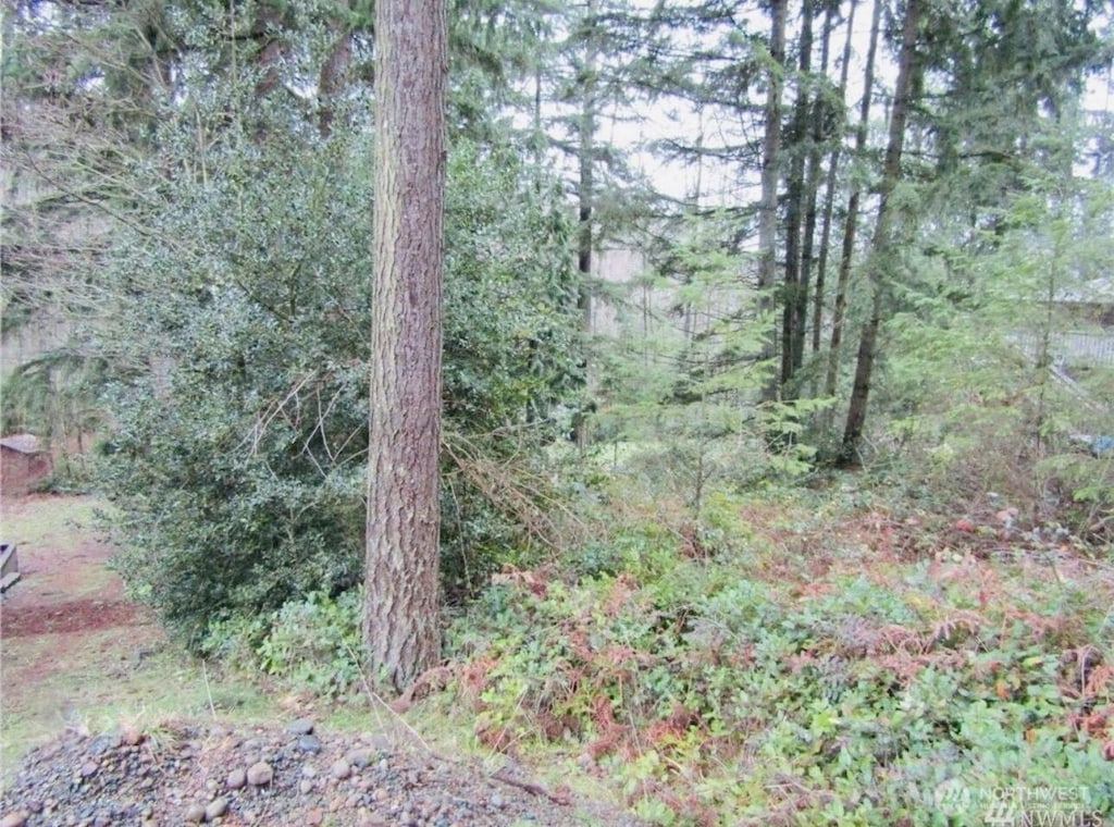 4606 W Tapps, Lake Tapps, WA 98391