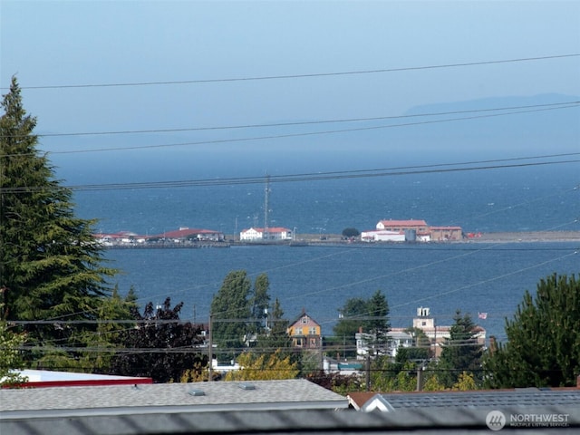 2310 S Laurel St, Port Angeles, WA 98362 - water view