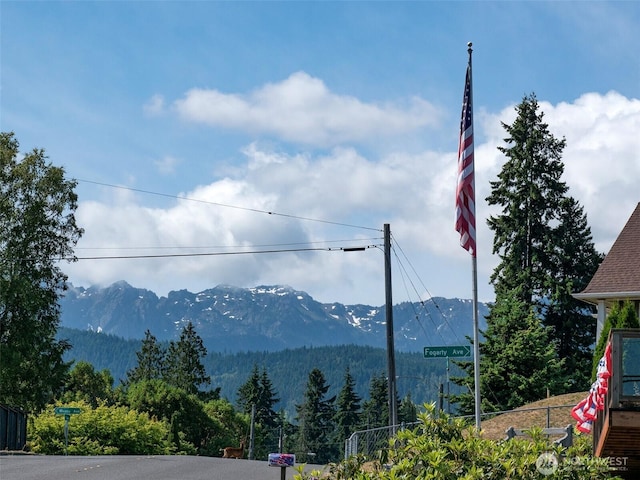 2310 S Laurel St, Port Angeles, WA 98362 - view of mountain backdrop with a forest