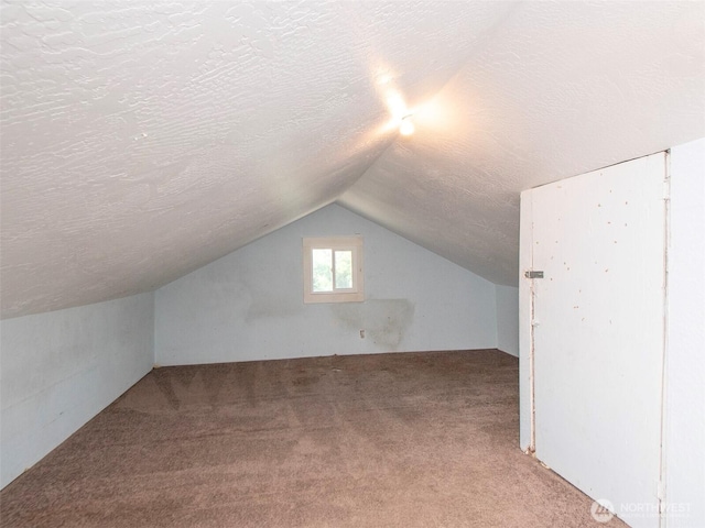2310 S Laurel St, Port Angeles, WA 98362 - additional living space with carpet floors, vaulted ceiling, and a textured ceiling